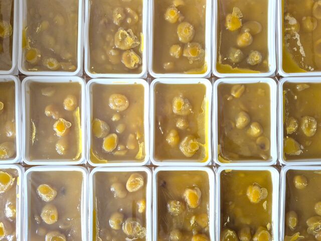 芋餡栗きんとん