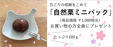 自然栗　プレゼント